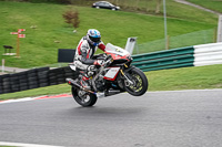 Middle Group Multicolour Bikes